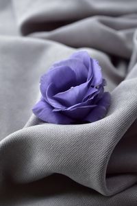 Preview wallpaper flower, blue, fabric, closeup