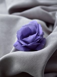 Preview wallpaper flower, blue, fabric, closeup