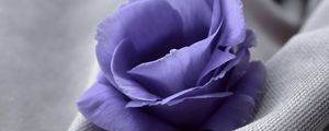 Preview wallpaper flower, blue, fabric, closeup