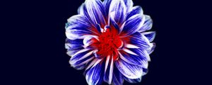 Preview wallpaper flower, bud, petals