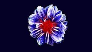 Preview wallpaper flower, bud, petals