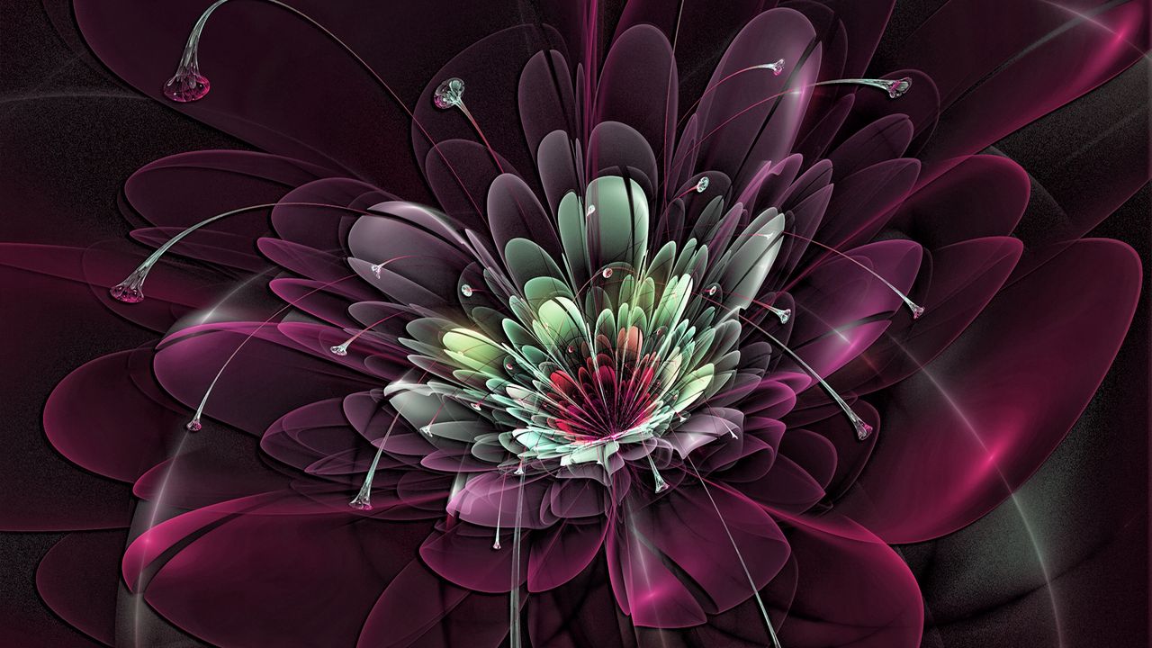 Wallpaper flower, burst, background, fractal