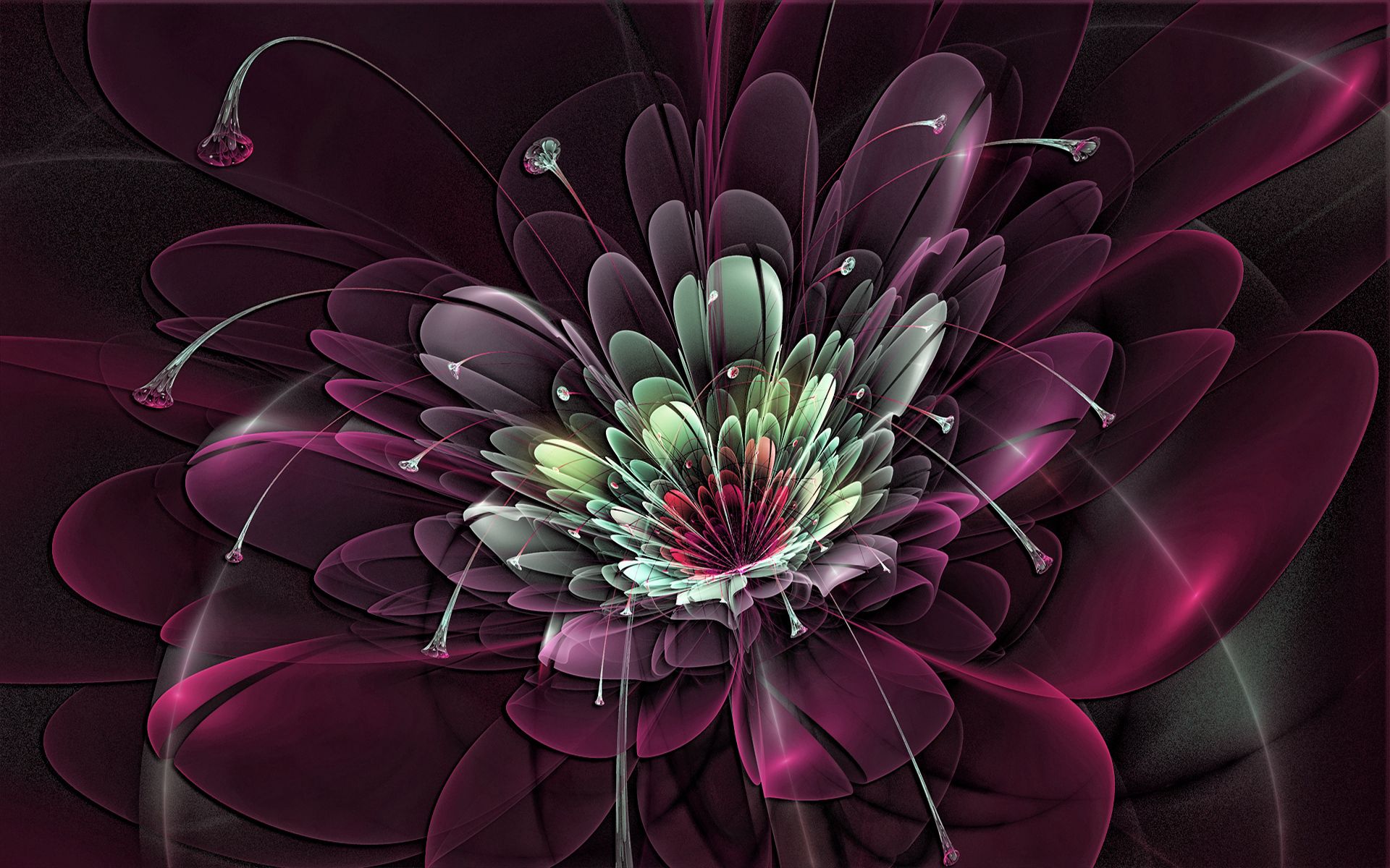 Download Wallpaper 1920x1200 Flower Burst Background Fractal Hd Background 