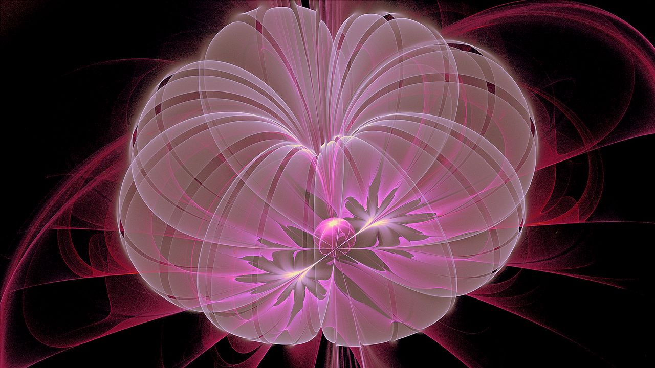 Wallpaper flower, circle, shape, light, blurred