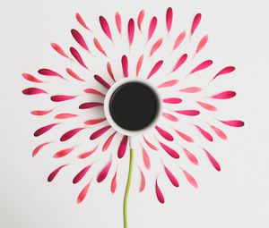 Preview wallpaper flower, cup, petals, minimalism