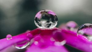 Preview wallpaper flower, drop, water, macro, reflection