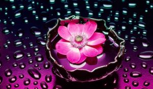 Preview wallpaper flower, drops, water, vase, background
