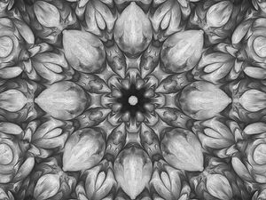 Preview wallpaper flower, fractal, kaleidoscope, background, gray