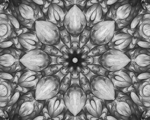 Preview wallpaper flower, fractal, kaleidoscope, background, gray