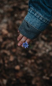 Preview wallpaper flower, hand, flowering