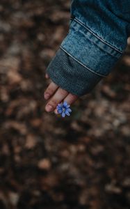 Preview wallpaper flower, hand, flowering