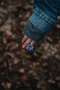 Preview wallpaper flower, hand, flowering