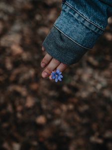 Preview wallpaper flower, hand, flowering