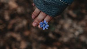 Preview wallpaper flower, hand, flowering