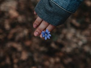 Preview wallpaper flower, hand, flowering