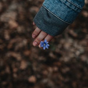 Preview wallpaper flower, hand, flowering