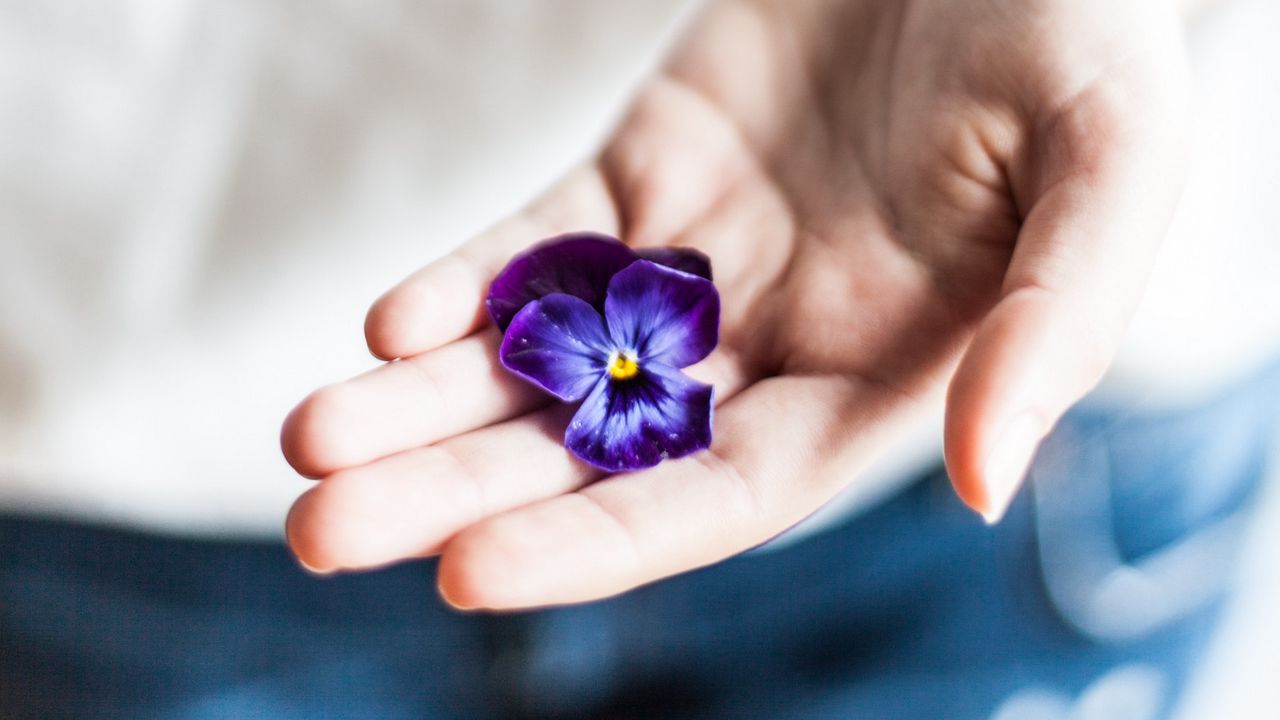 Wallpaper flower, hand, palm, purple, fingers