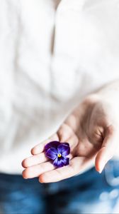 Preview wallpaper flower, hand, palm, purple, fingers