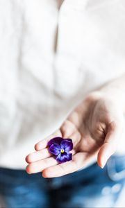 Preview wallpaper flower, hand, palm, purple, fingers