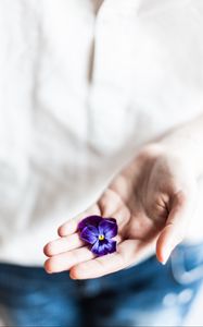 Preview wallpaper flower, hand, palm, purple, fingers