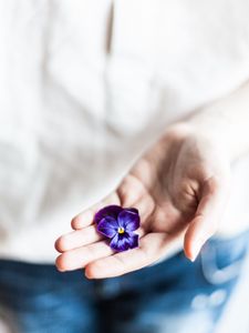 Preview wallpaper flower, hand, palm, purple, fingers