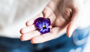 Preview wallpaper flower, hand, palm, purple, fingers