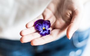 Preview wallpaper flower, hand, palm, purple, fingers