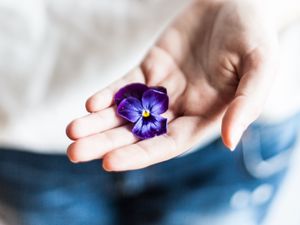 Preview wallpaper flower, hand, palm, purple, fingers