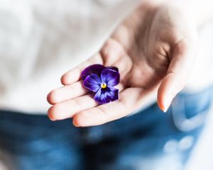 Preview wallpaper flower, hand, palm, purple, fingers