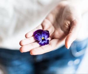 Preview wallpaper flower, hand, palm, purple, fingers