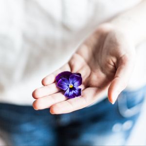 Preview wallpaper flower, hand, palm, purple, fingers