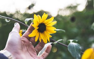 Preview wallpaper flower, hand, rings, petals, yellow