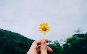 Preview wallpaper flower, hand, sky