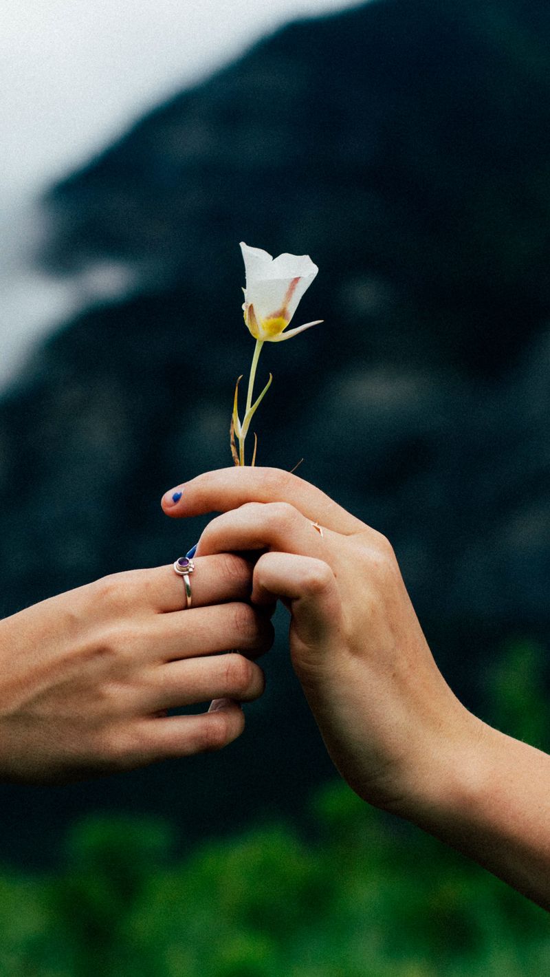 800x1420 Wallpaper flower, hands, blur