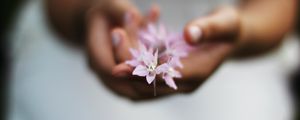 Preview wallpaper flower, hands, blurring