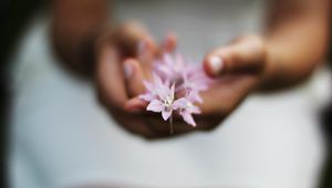 Preview wallpaper flower, hands, blurring