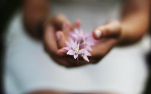 Preview wallpaper flower, hands, blurring