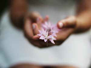 Preview wallpaper flower, hands, blurring