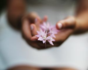 Preview wallpaper flower, hands, blurring