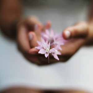 Preview wallpaper flower, hands, blurring