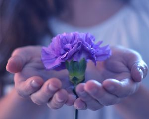 Preview wallpaper flower, hands plant, petals