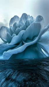 Preview wallpaper flower, iceberg, sea, blue