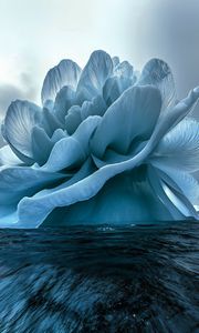 Preview wallpaper flower, iceberg, sea, blue