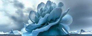 Preview wallpaper flower, iceberg, sea, blue