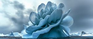 Preview wallpaper flower, iceberg, sea, blue