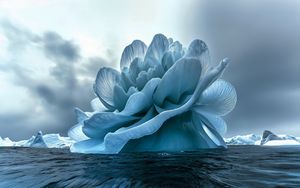 Preview wallpaper flower, iceberg, sea, blue