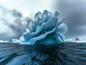 Preview wallpaper flower, iceberg, sea, blue
