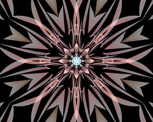 Preview wallpaper flower, kaleidoscope, shapes, abstraction, background