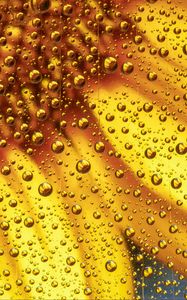 Preview wallpaper flower, liquid, bubbles, macro, yellow