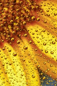 Preview wallpaper flower, liquid, bubbles, macro, yellow